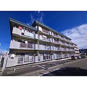 グリーンハイム三陽 4階 築44年8ヶ月の賃貸物件