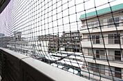 眺望です。