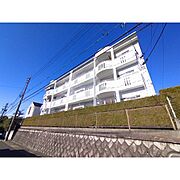 サンハイツ亀の井の賃貸物件