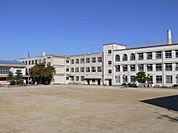 筒井小学校 252m