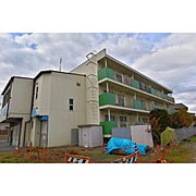 コーポコスモス 3階 築42年7ヶ月の賃貸物件