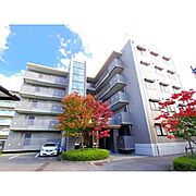 カステージュ松本の賃貸物件
