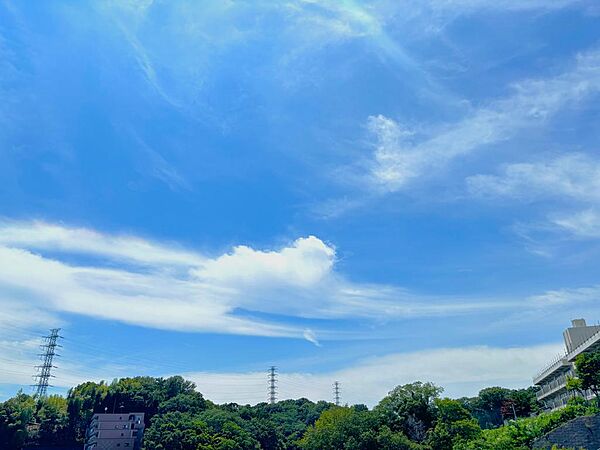 陽当り・開放感・眺望良好です。空が広く緑の多い、閑静な趣を感じる環境です。