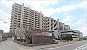 名古屋市南区菊住１丁目 14階建 築15年のイメージ