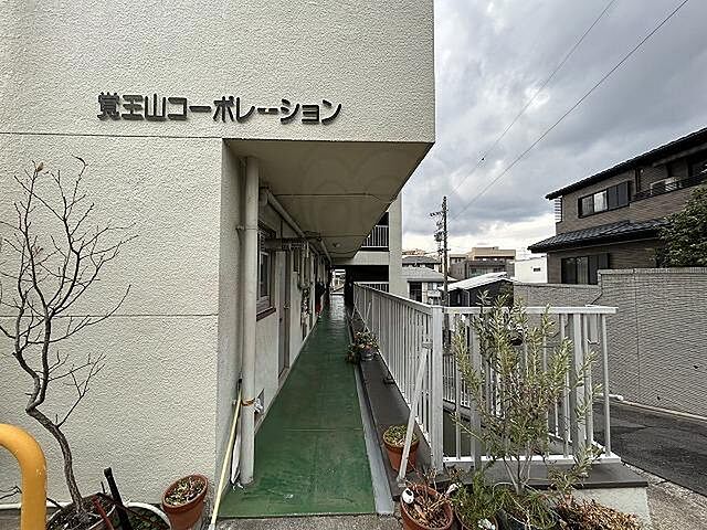 3 / 10