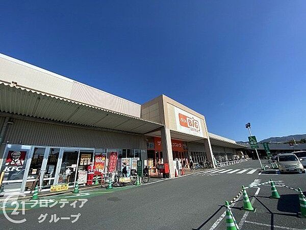 ザ・ビッグエクストラ 大安寺店 徒歩8分。 580m