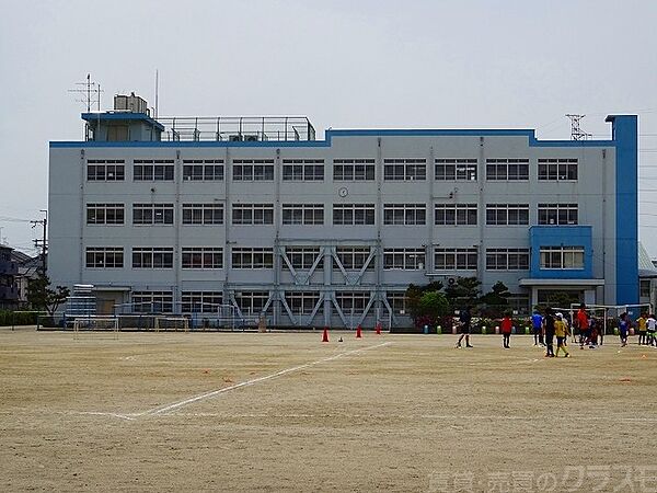 画像30:若松小学校 74m
