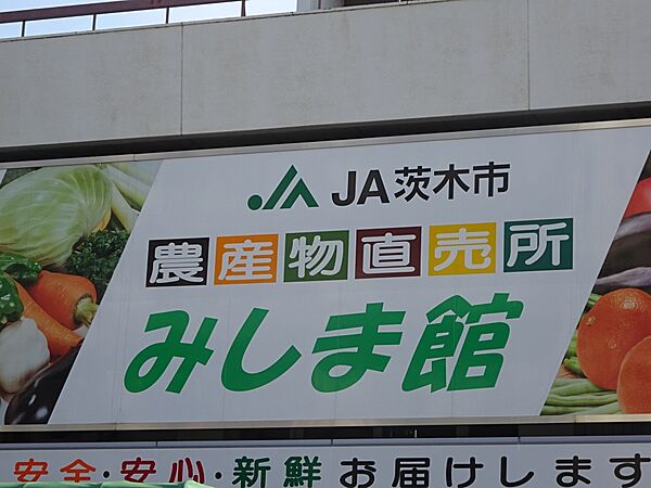 画像14:【スーパー】茨木市農協 農産物直売所みしま館まで753ｍ
