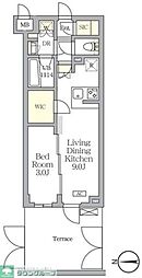東急東横線 都立大学駅 徒歩7分の賃貸マンション 地下1階1LDKの間取り