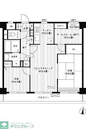 ドミールエムエス 3階2SLDKの間取り