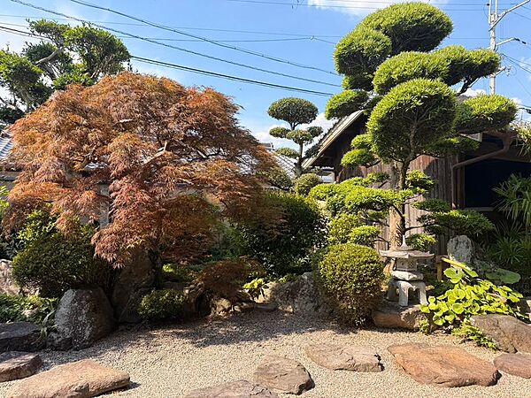 室内（2026年6月）撮影