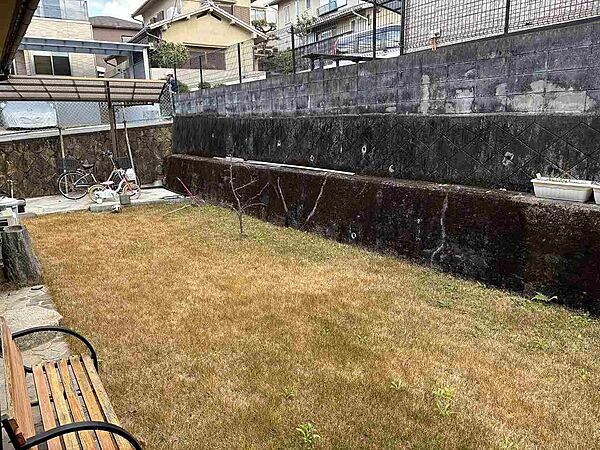 南向きの庭