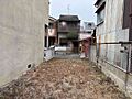 敷地内から撮影