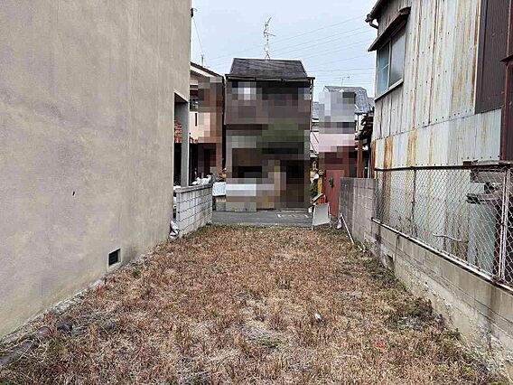 敷地内から撮影