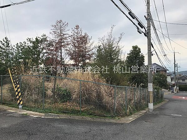 外観：326000272499