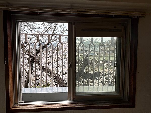 窓から桜の木が見えています♪