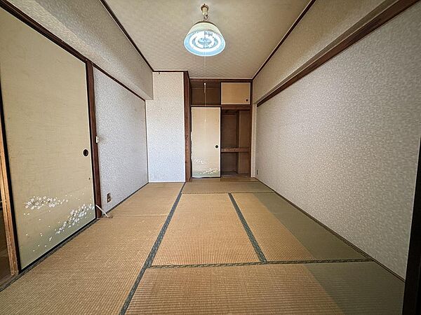 室内（2026年1月）撮影