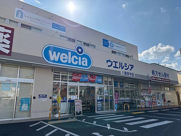 ウエルシア八尾安中店（720m）
