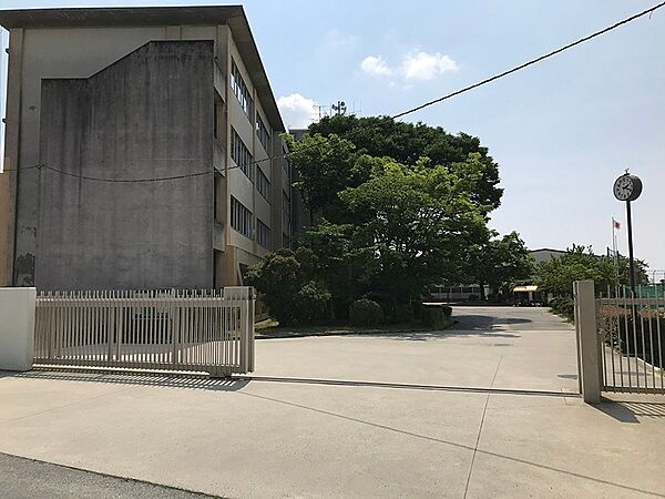 その他を拡大表示
