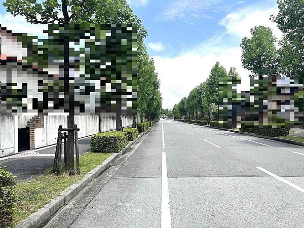 東側前面道路です♪
