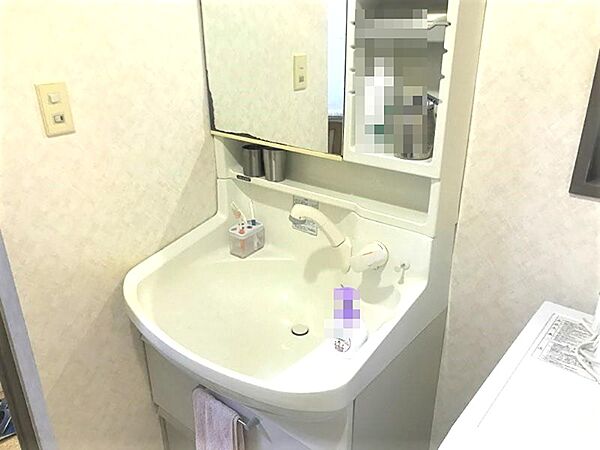 ・洗顔やヘアセットに便利なシャワー水栓付き洗面台で毎日が快適に過ごせます。