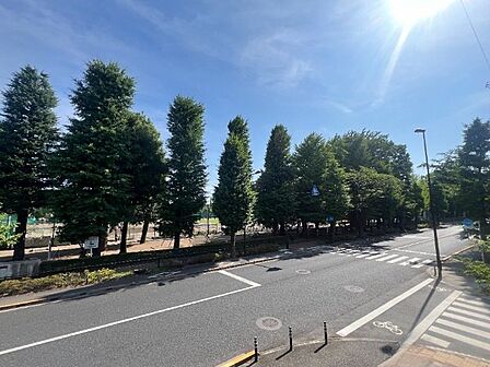 さくら通り、谷保第三公園を望めます