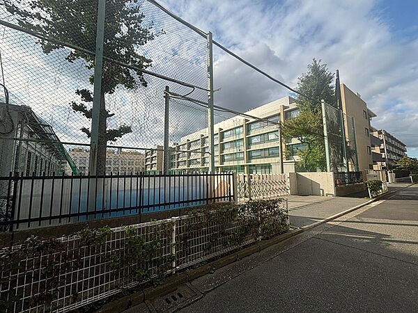 武蔵野市立第一中学校（1184m）
