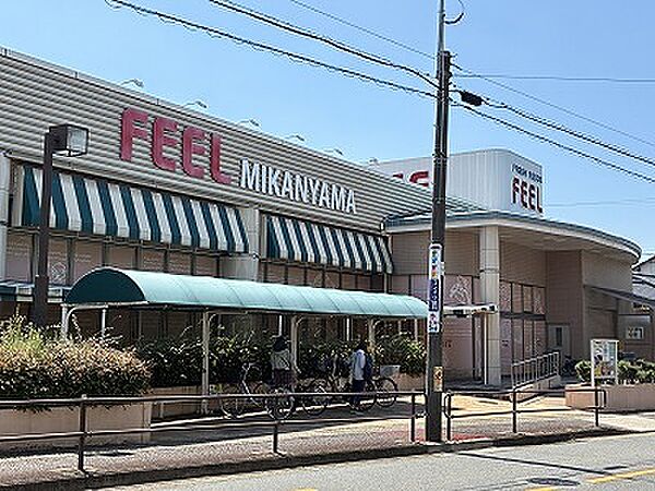 フィールみかん山店（511m）