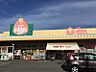 周辺：ぎゅーとら TRYmart.八間通店（338m）