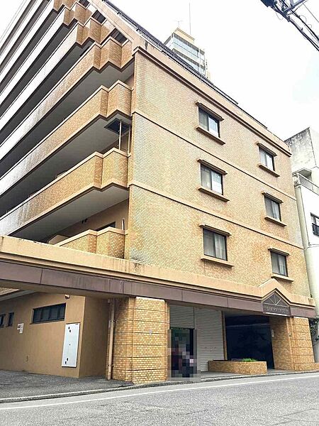 外観：334000240688