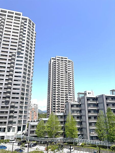 外観：334000273685