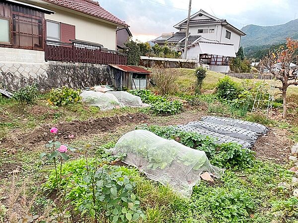 その他画像