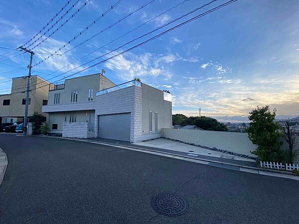 外観：334000213646