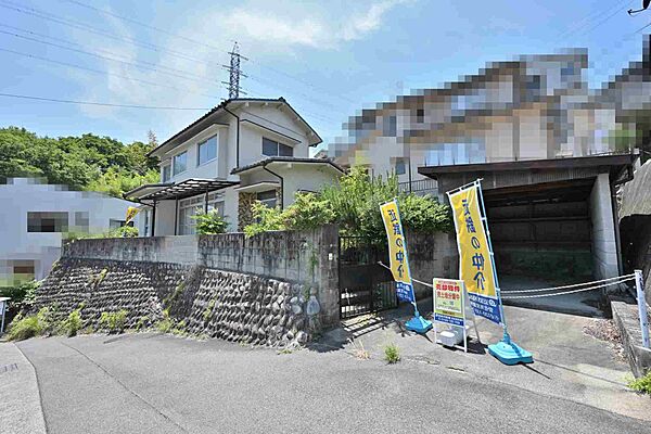 外観：334000226471