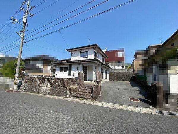 外観：334000245715