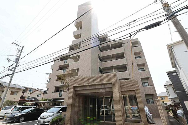 外観：334000239088