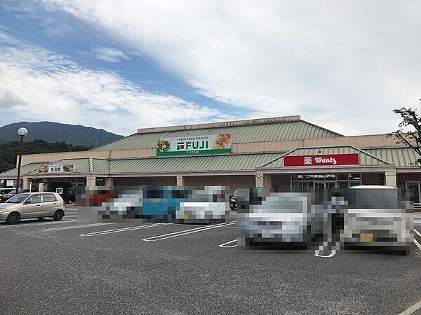 フジ三入店まで989m
