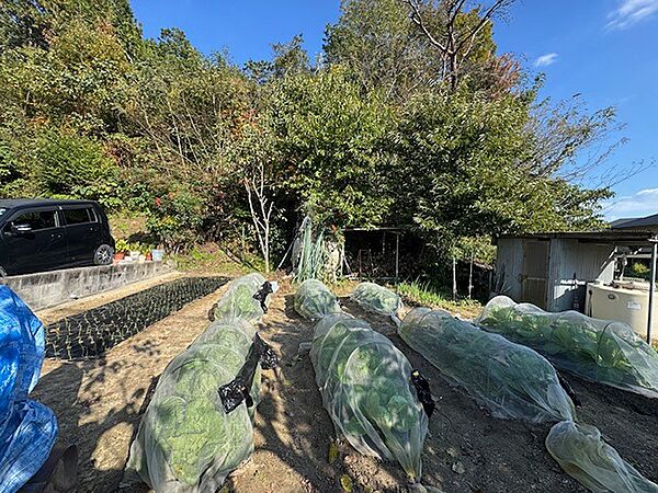 家庭菜園に最適な広々とした敷地。収穫の喜びを味わえる、自然豊かな環境での暮らしはいかがですか。