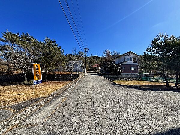 青空が広がる現地からの眺めです。前面道路はゆとりがあり、車でのアクセスもスムーズ。自然豊かな環境で、穏やかな暮らしが期待できます。