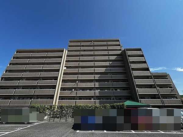 外観：334000260383