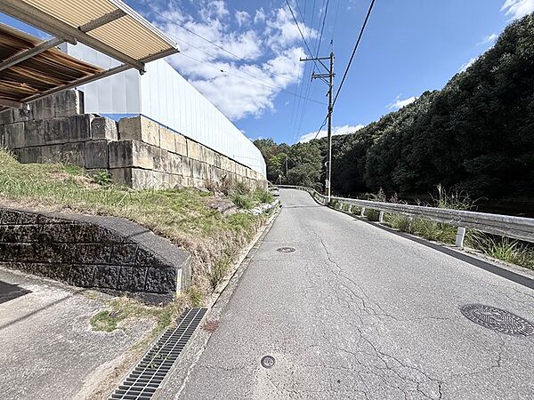 自然豊かな環境に面した前面道路です。落ち着いた住環境をお求めの方におすすめです。