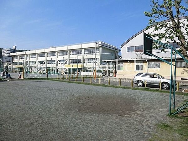 横須賀市立/大楠小学校 徒歩7分。 500m