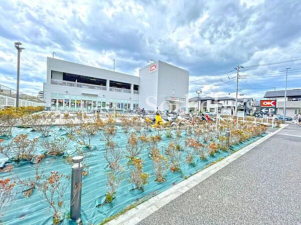 オーケー辻堂羽鳥店 徒歩25分。毎日の買い物を支えるスーパーが近くにあると、重い荷物もすぐに運べて、家事効率がアップ。時間も気持ちも余裕が持てます。 2000m