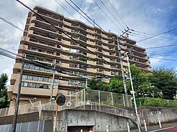 コスモさがみ野