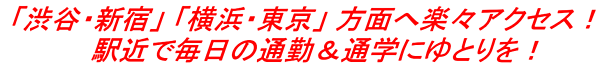 外観：314002867303