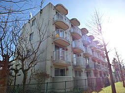 ビッグバーンズマンション新札幌