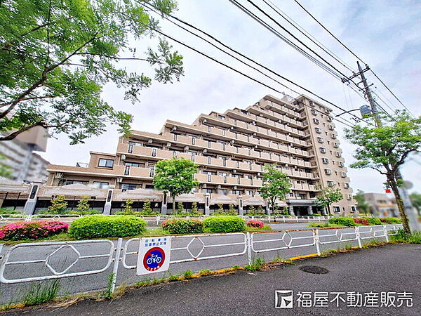 外観：313004367721