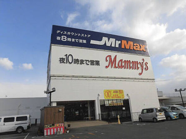 画像18:MrMAX久留米インター店（1123m）