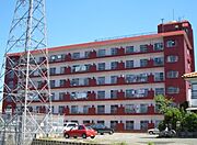  3階 築49年4ヶ月の賃貸物件