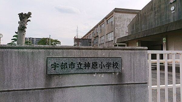 宇部市立神原小学校 800m